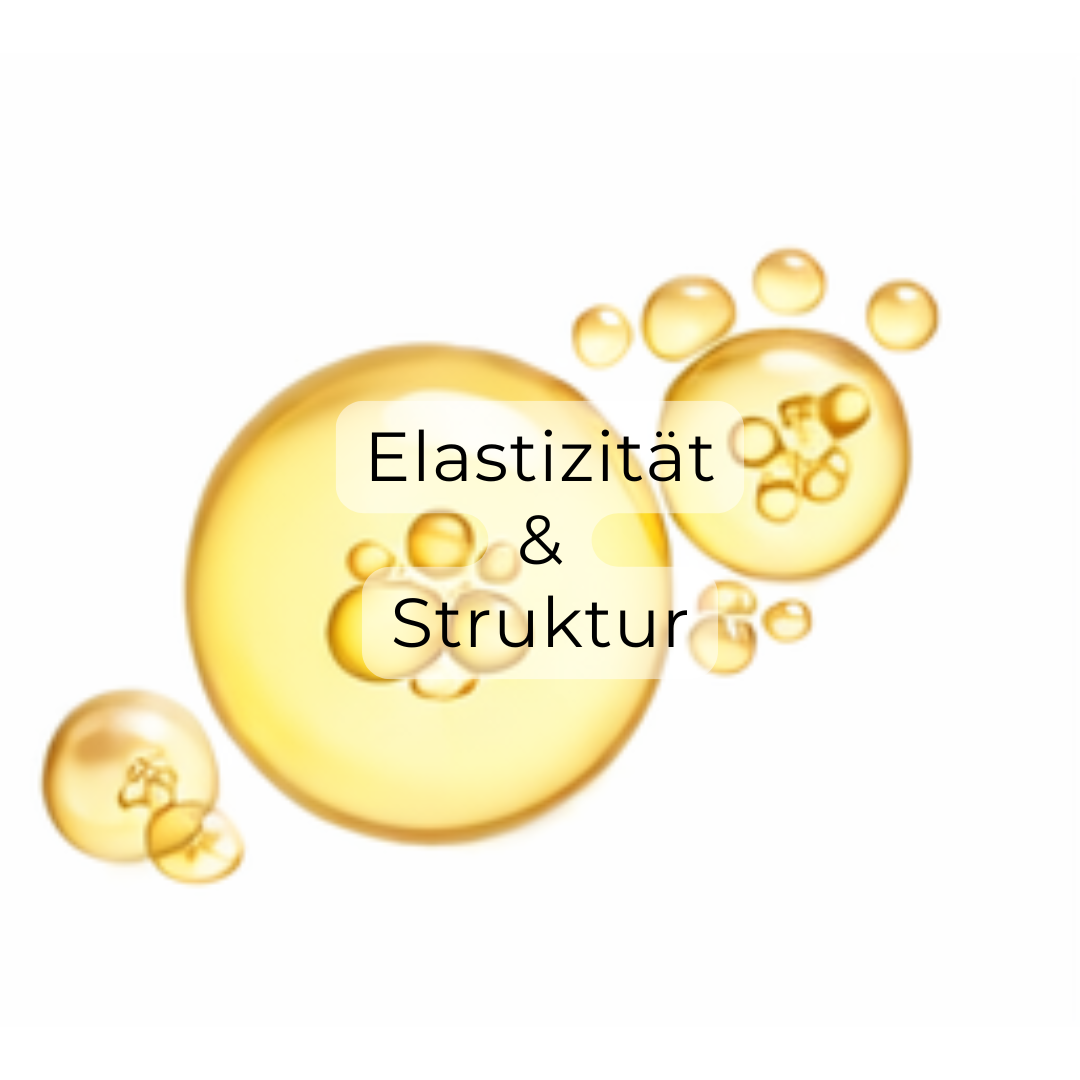 Elastizität